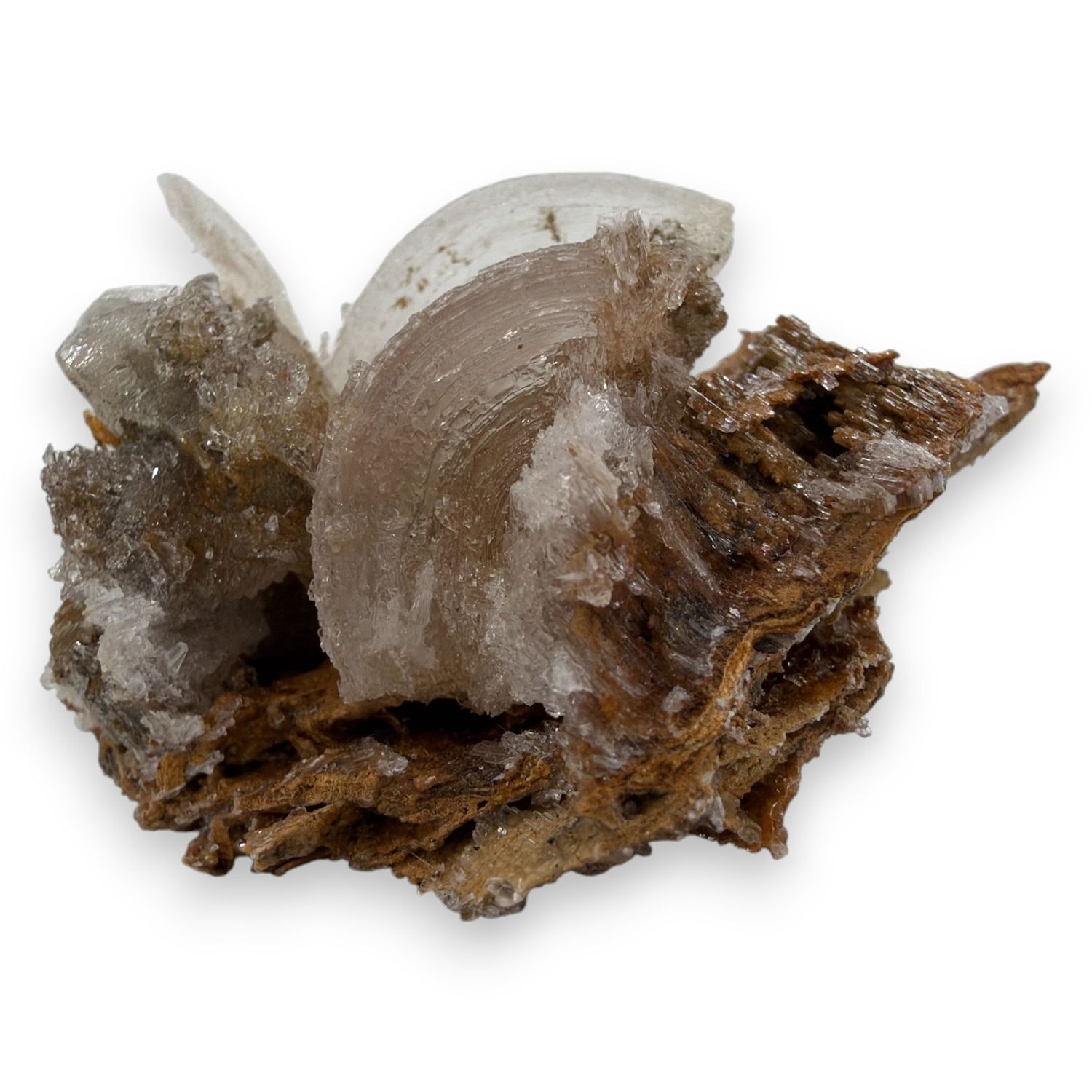 Ramshoorn Seleniet ruw - 106 gram