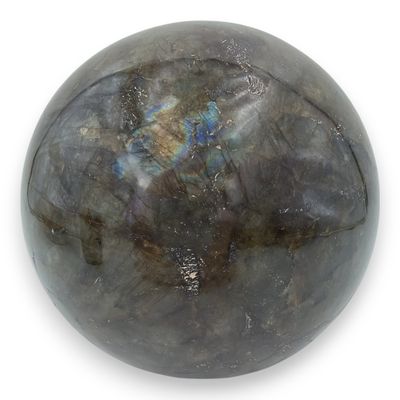 Labradoriet bol 16 cm