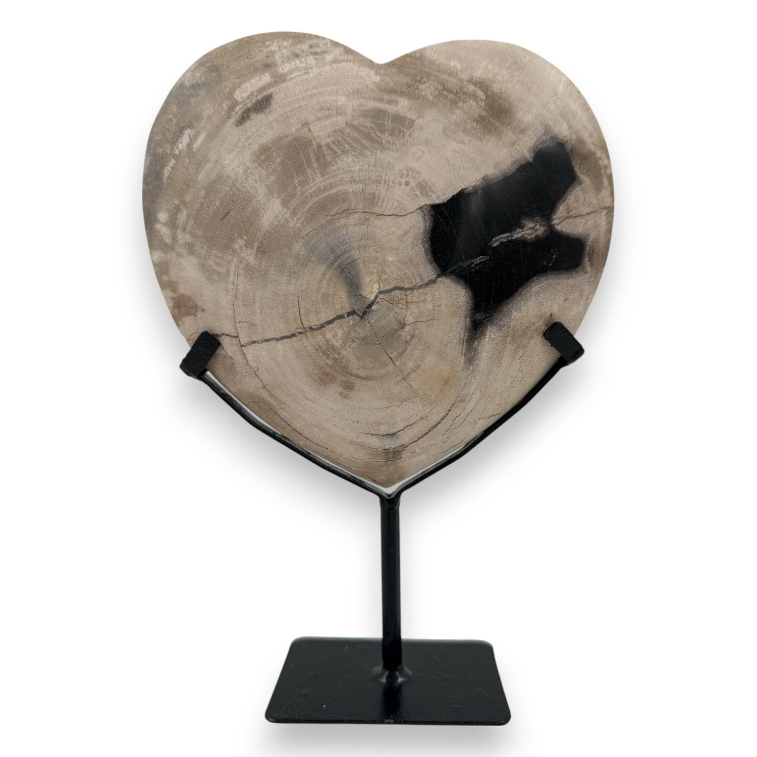 Versteend hout hart op standaard - 744 gram