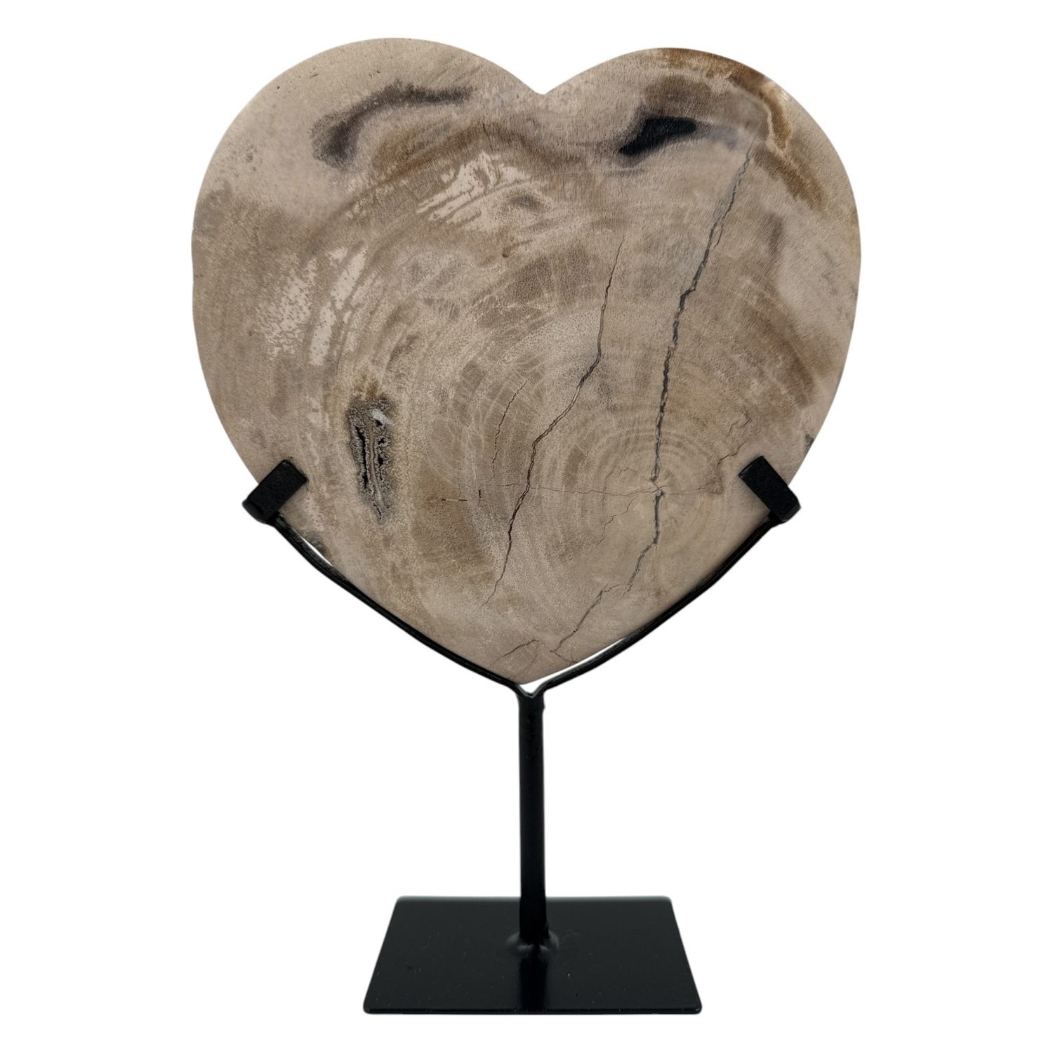 Versteend hout hart op standaard - 670 gram
