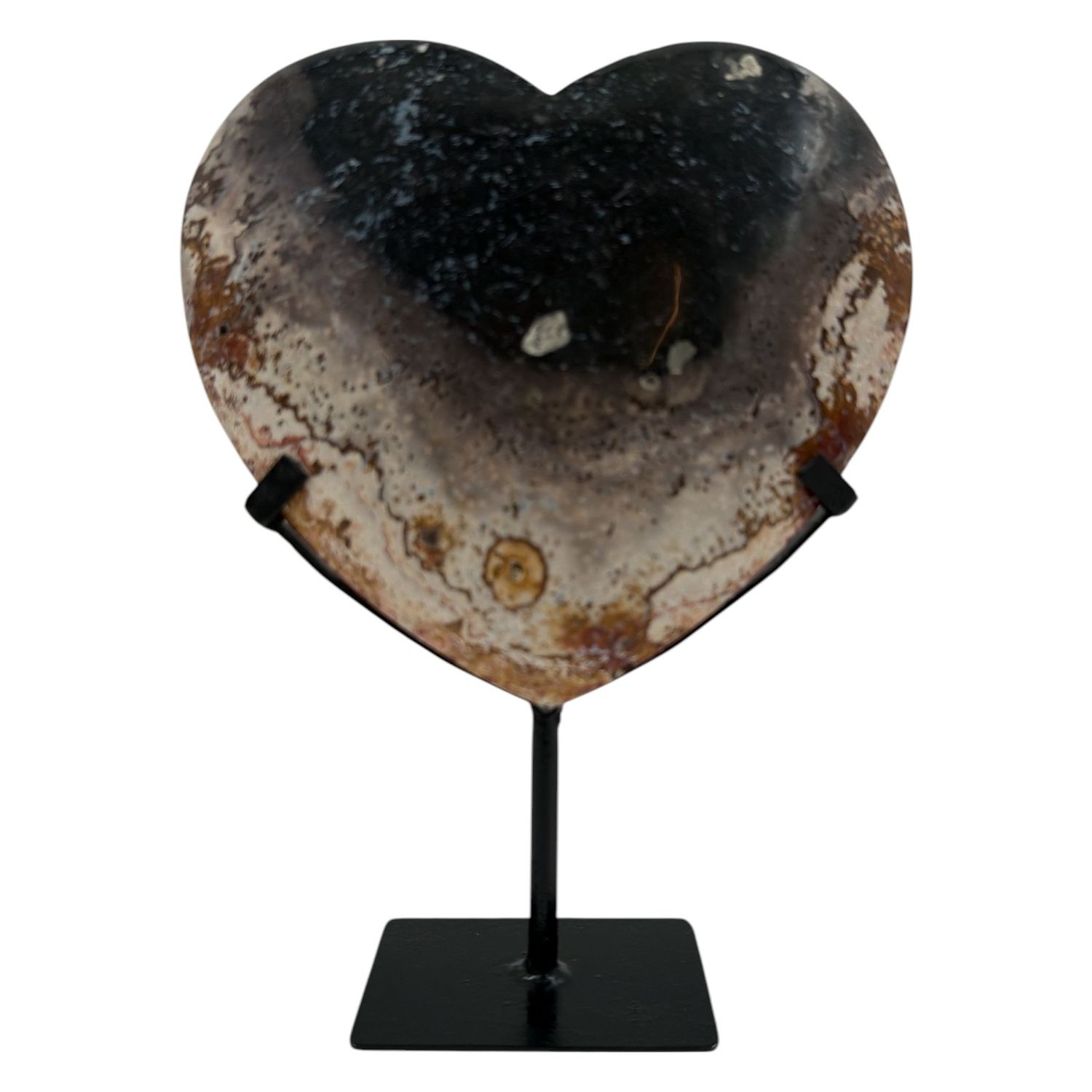 Versteend hout hart op standaard - 702 gram