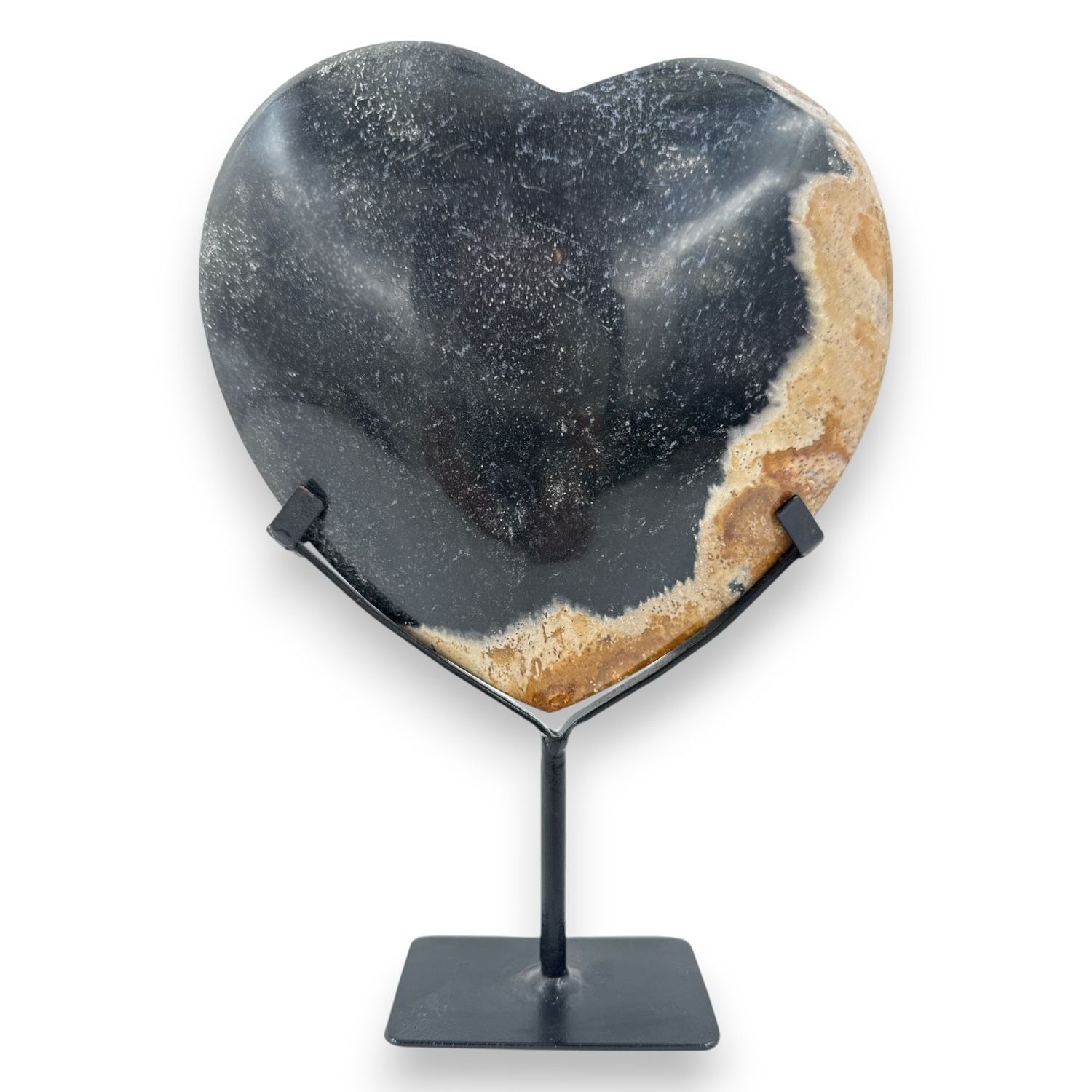 Versteend hout hart op standaard - 1.05 kg