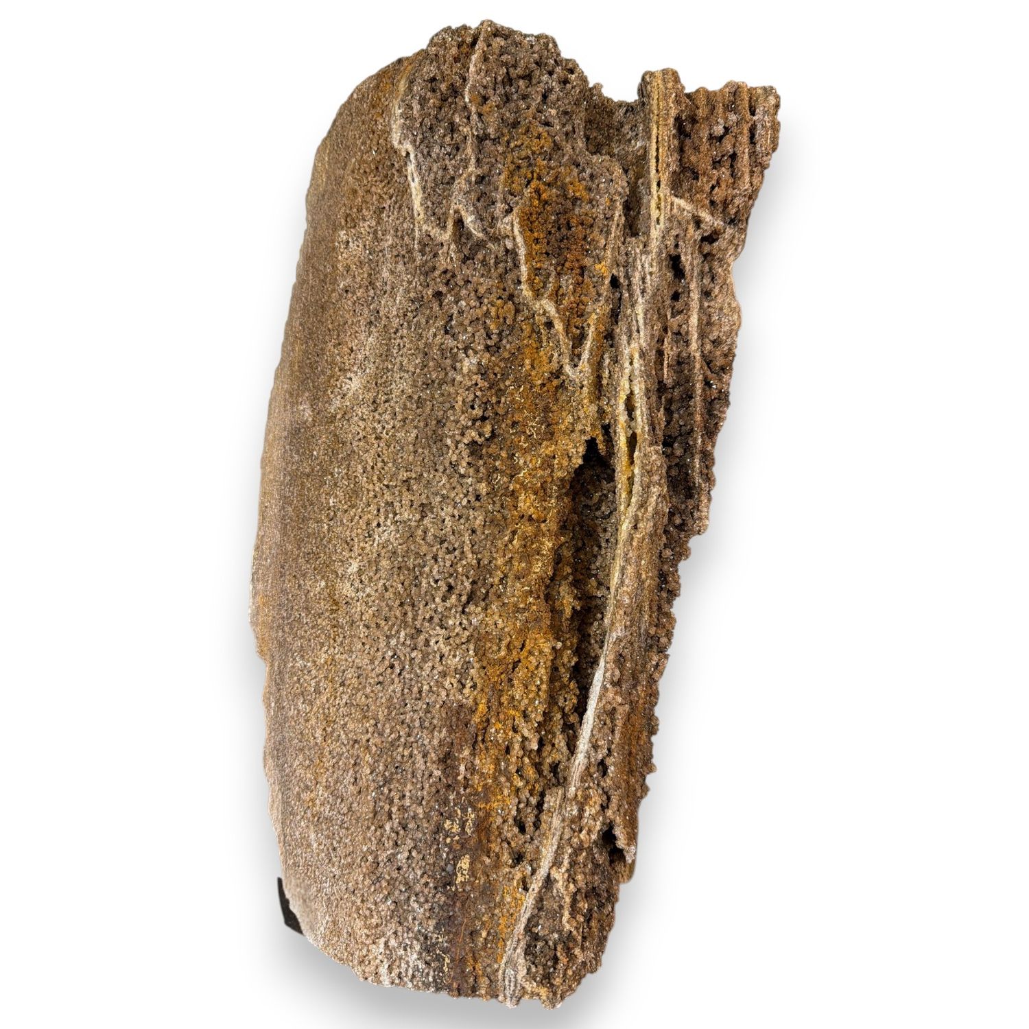 Versteend druzy hout uit Indonesië - 22.83kg