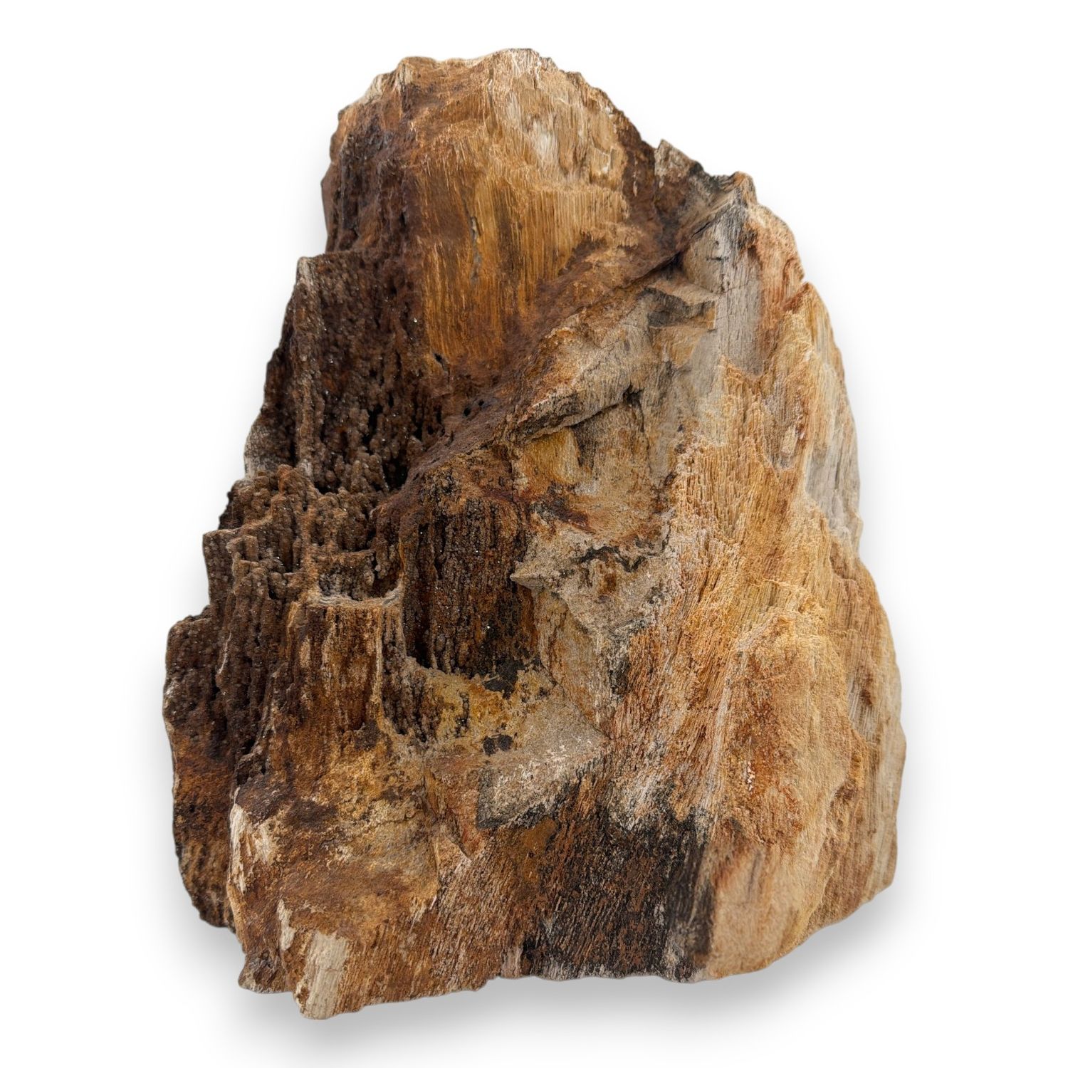 Versteend druzy hout uit Indonesië - 14.82kg