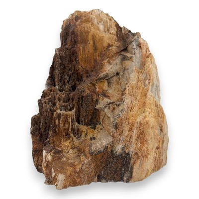 Versteend druzy hout uit Indonesië - 14.82kg