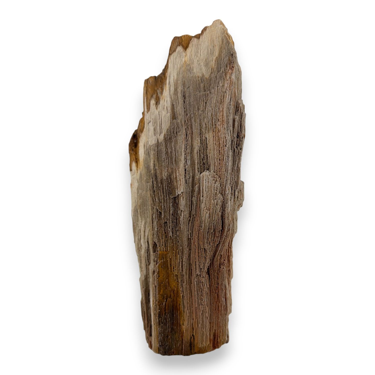 Versteend druzy hout uit Indonesië - 1.89kg