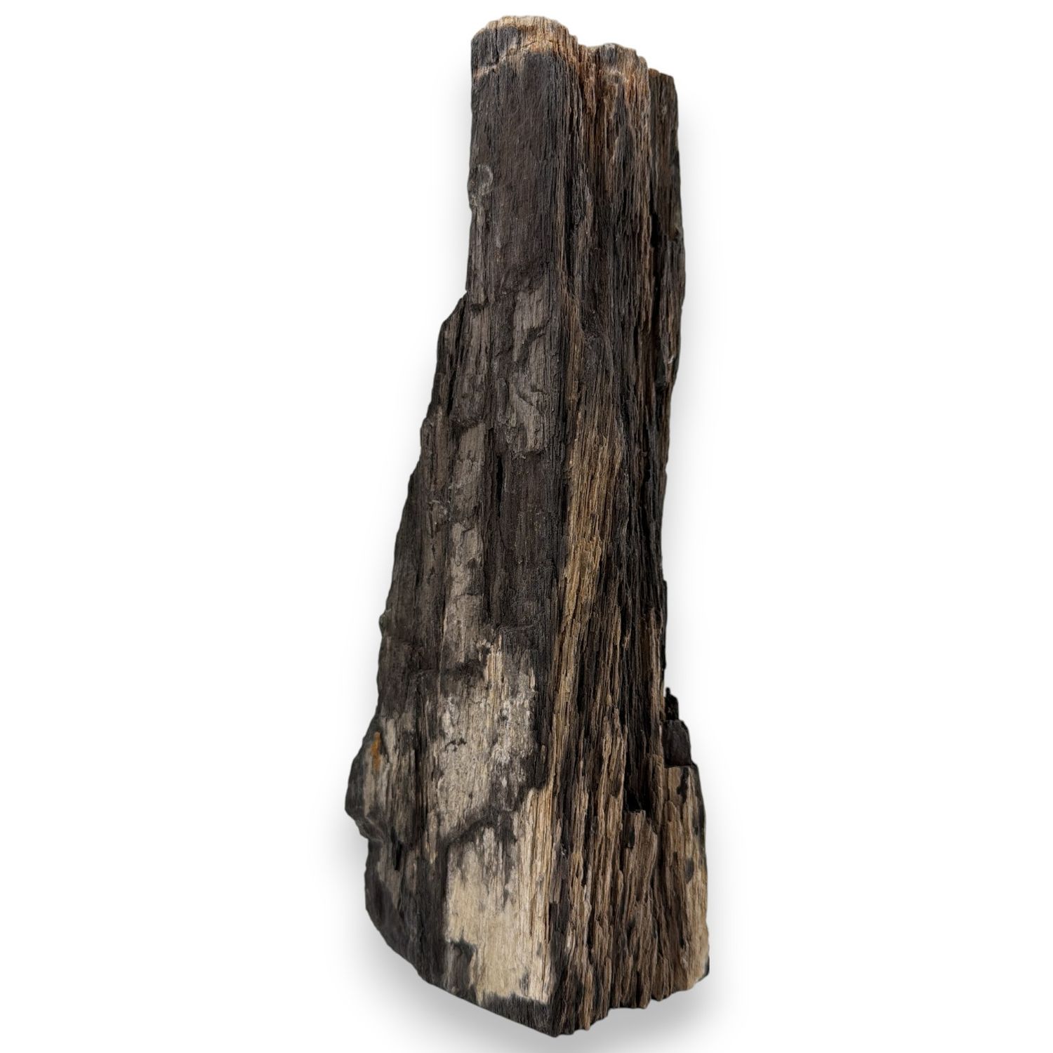 Versteend druzy hout uit Indonesië - 2.02 kg
