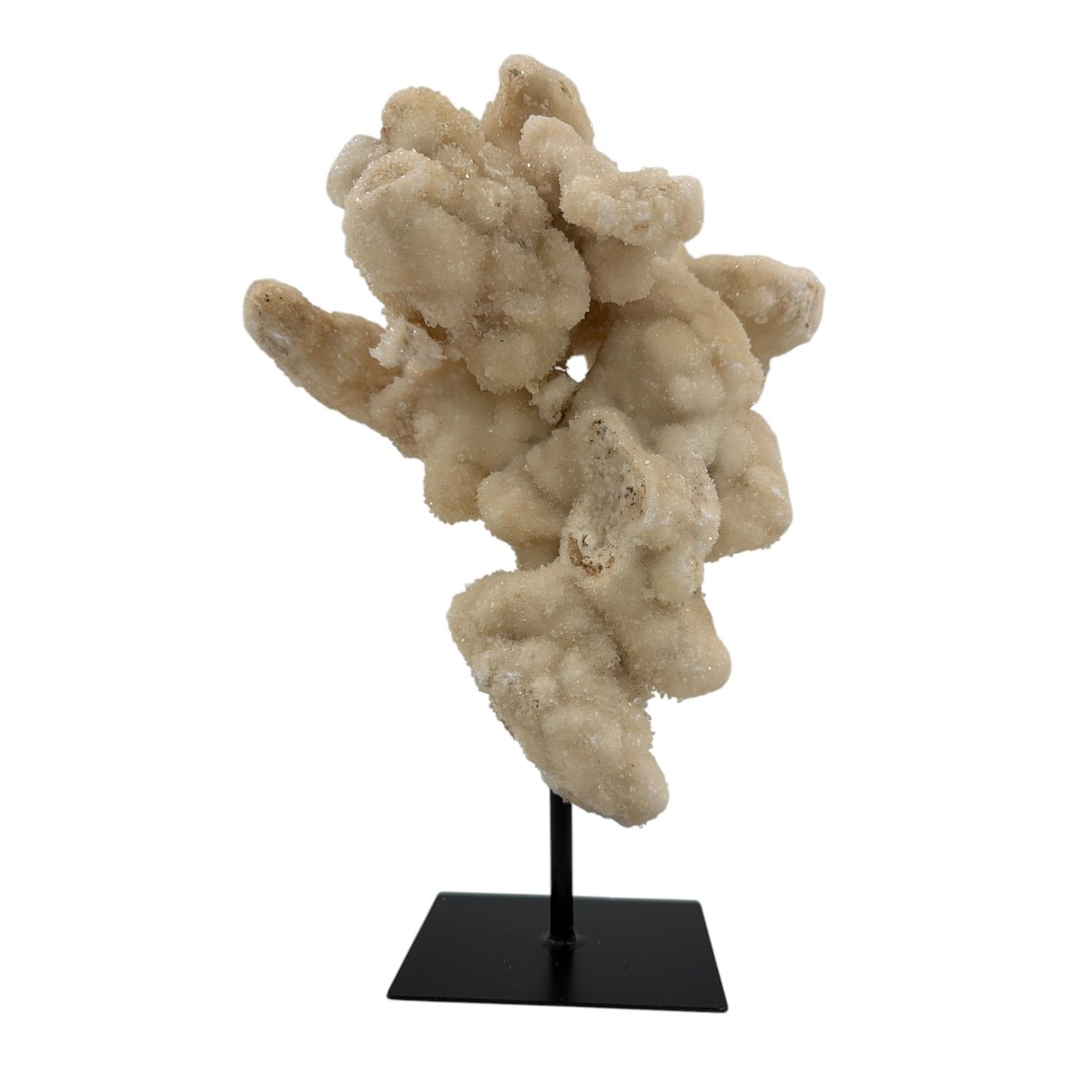 Calciet op standaard - 2.69kg