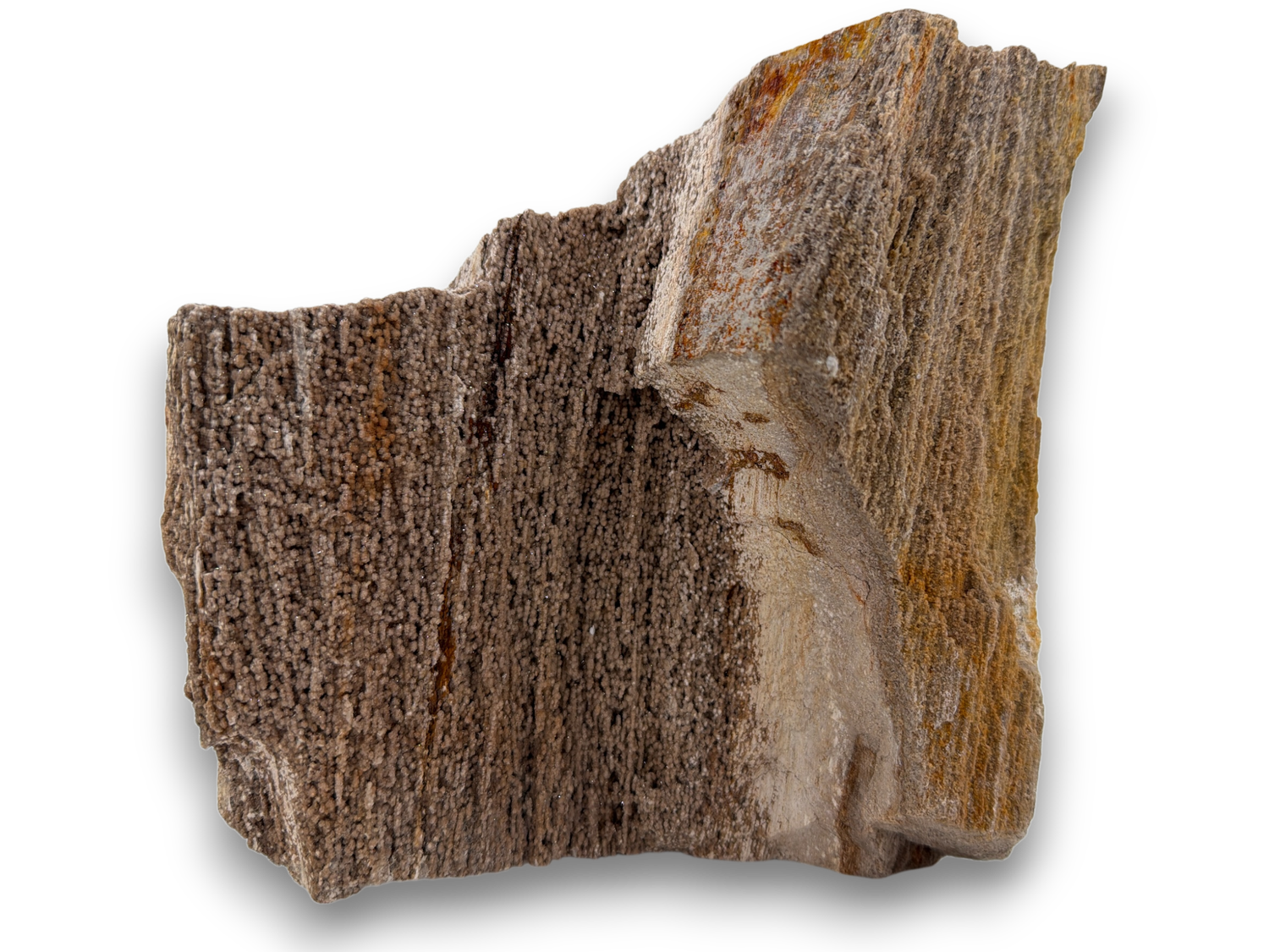 Versteend druzy hout uit Indonesië - 4.16kg