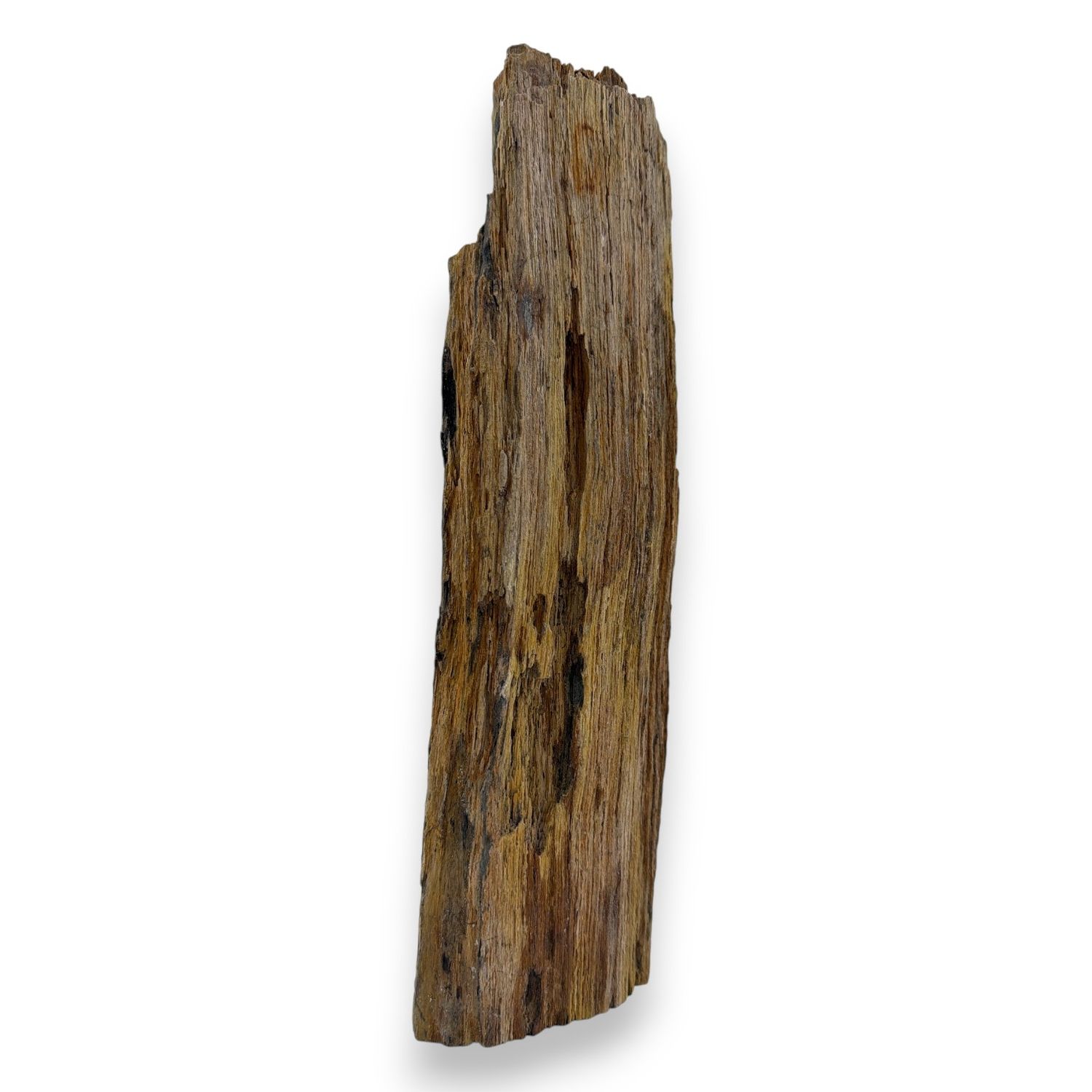 Versteend druzy hout uit Indonesië - 3.36 kg