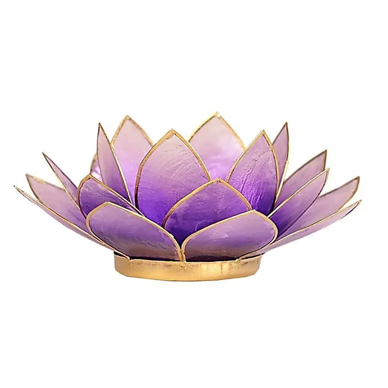 Lotus sfeerlicht violet / licht violet goudrand - 13.5 cm