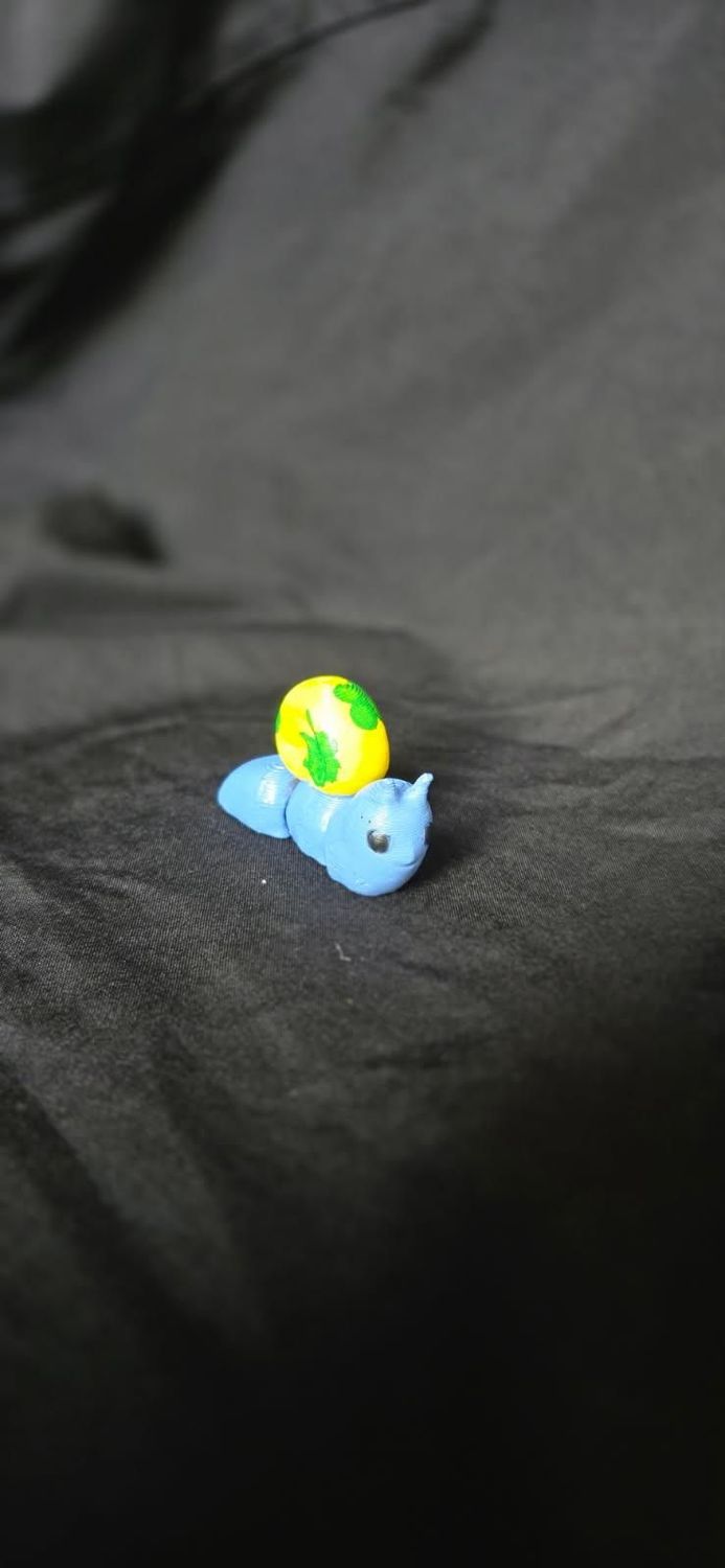 Summer the Snail Summer the Snail