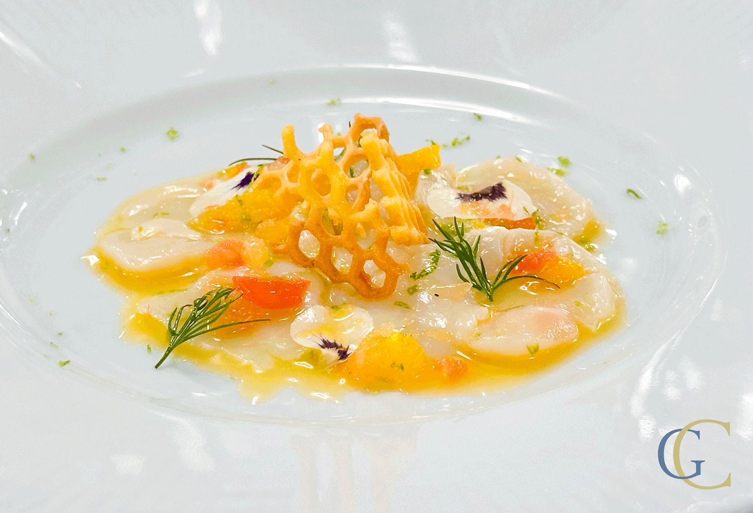 Tuile de corail de saint jacques