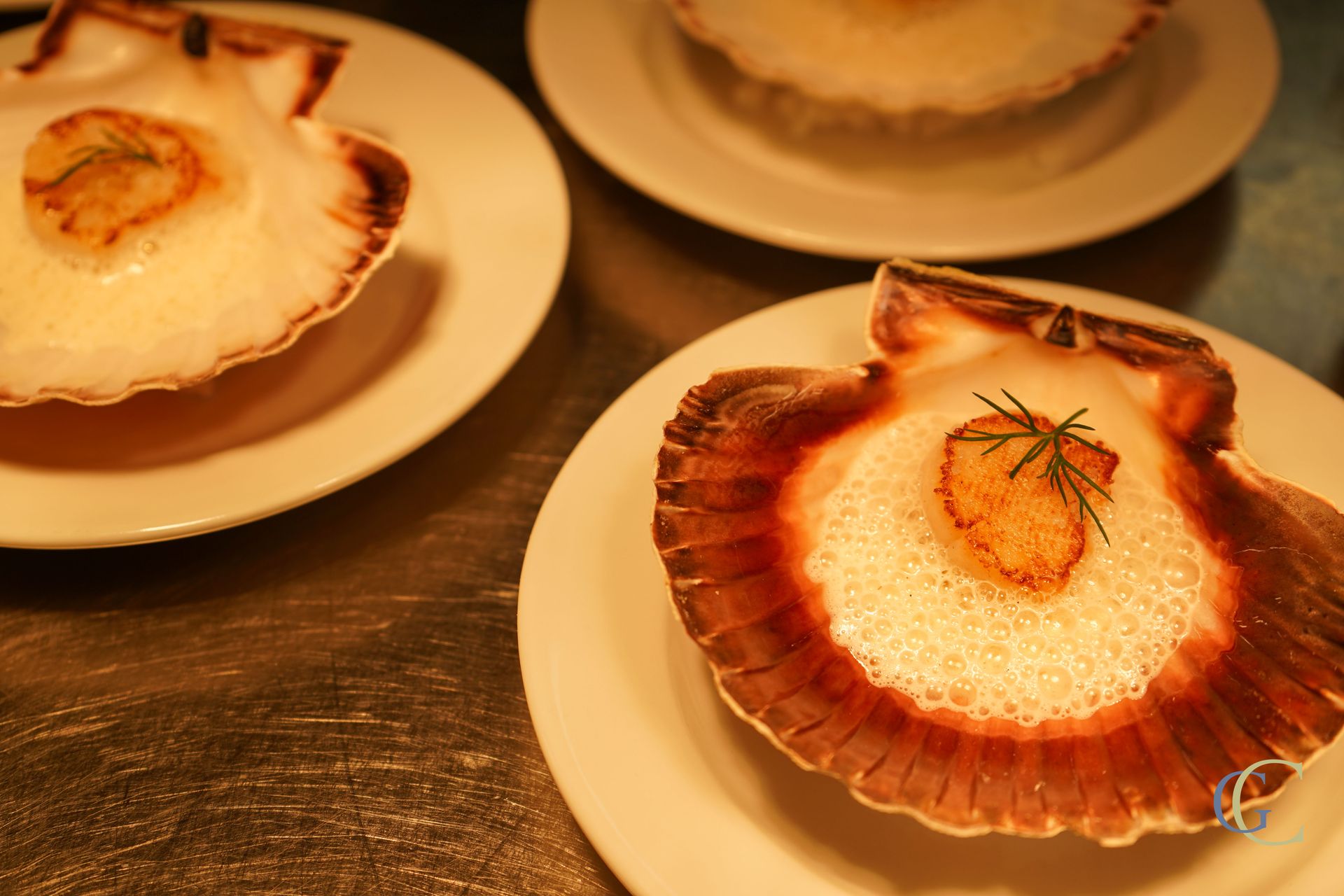 Noix de Saint jacques, écume iodée