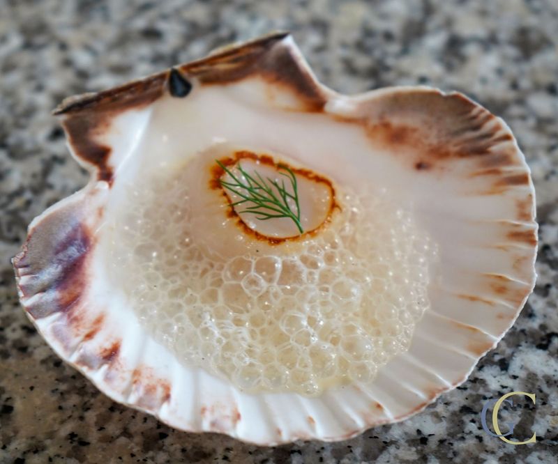 Noix de Saint jacques, écume iodée