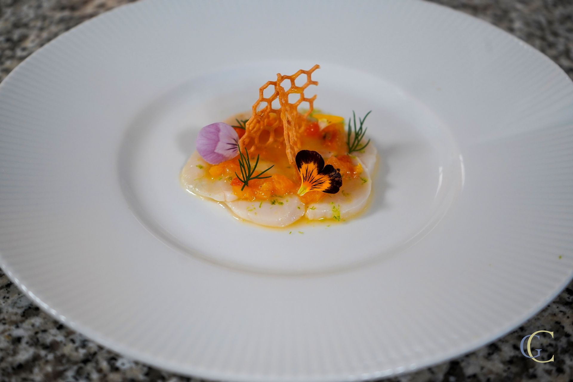 Carpaccio de Saint Jacques aux agrumes