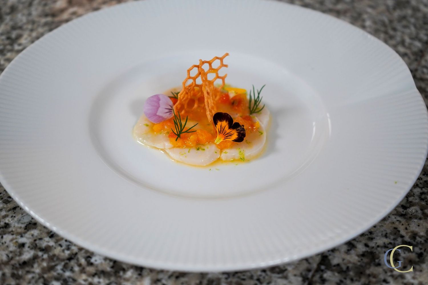 Carpaccio de Saint Jacques aux agrumes