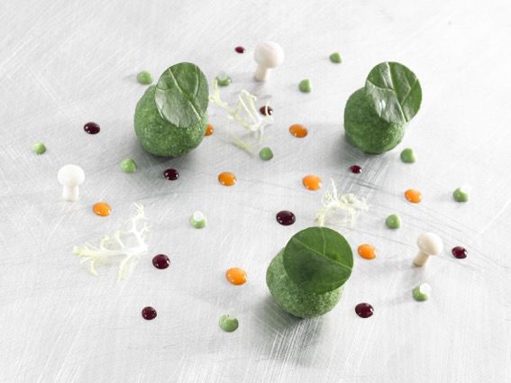 Cromesquis d’escargots à la crème d’ail confit