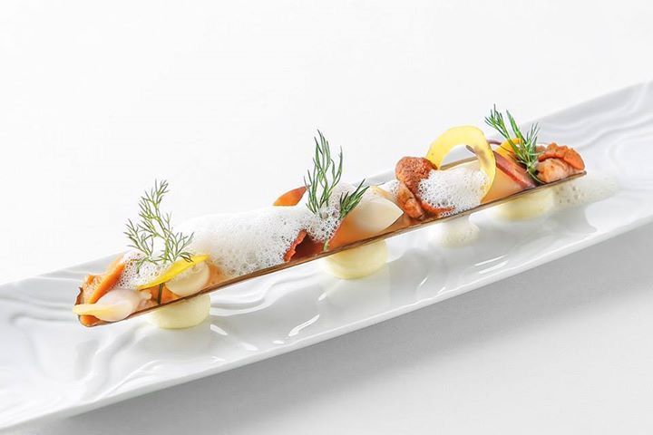 Couteaux et oursins de l’Île de Ré Coques, fine purée de carottes jaunes & écume gingembre Couteaux et oursins de l’Île de Ré Coques, fine purée de carottes jaunes & écume gingembre