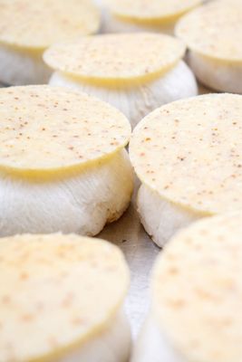 Croûtes et textures de surface