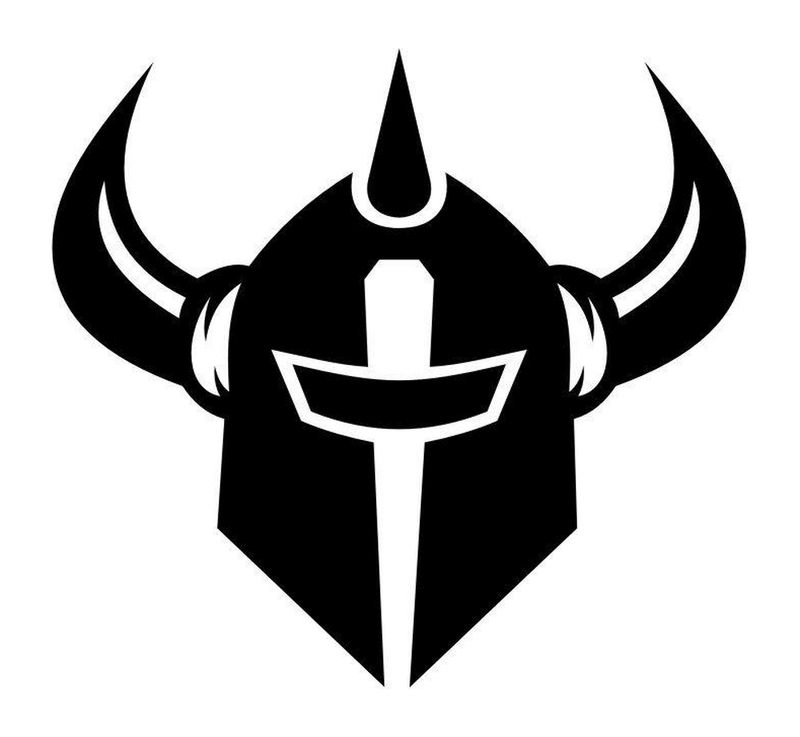 Autocollant logo DarkStar skateboards