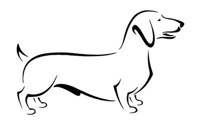 Dachshund