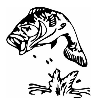 Poisson sautant hors de l'eau