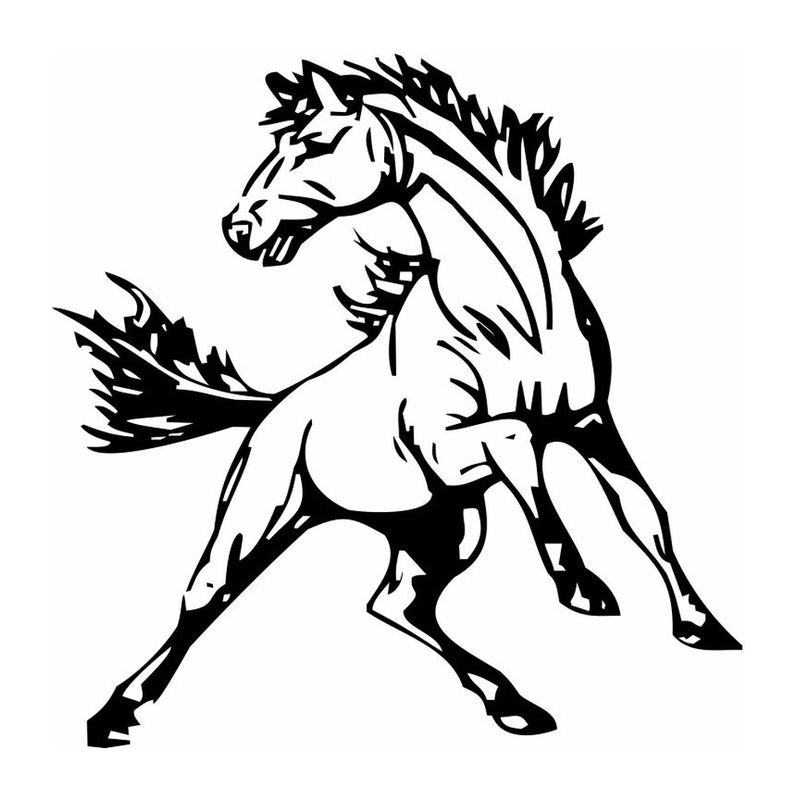 Cheval en furie