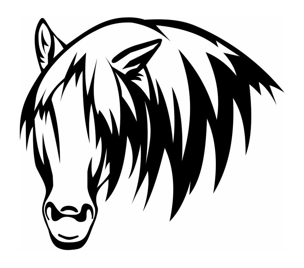 Têtes de cheval de face