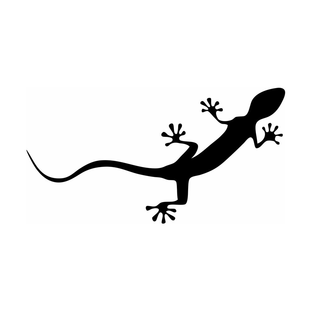 Audi Gecko
