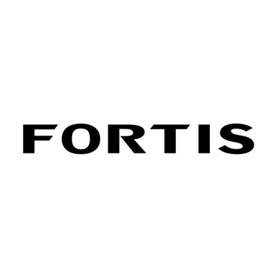 Mitsubishi Fortis
