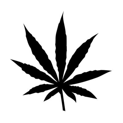 Cannabis
