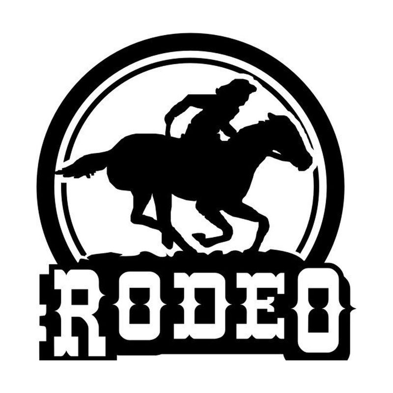Cheval au galop avec son cavalier et Rodéo / Gallop Horse with rider and Rodeo