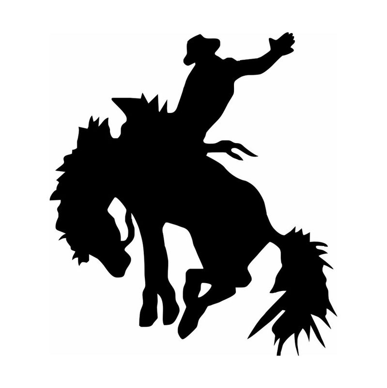 Monte de cheval sans selle / Bareback Bronc Riding