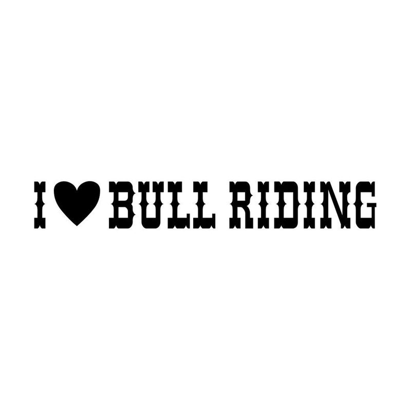 I Love Bull Riding