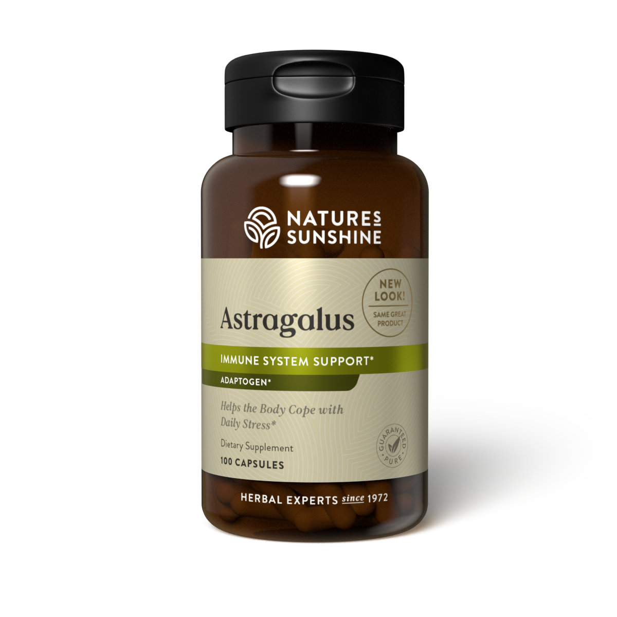 Astragalus (100 caps)