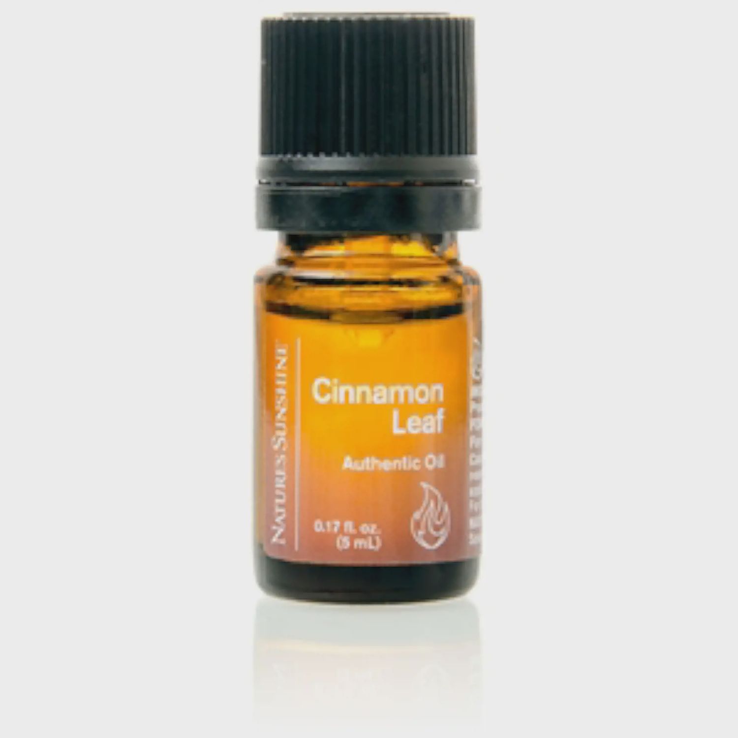 Cinnamon Leaf (5 ml)