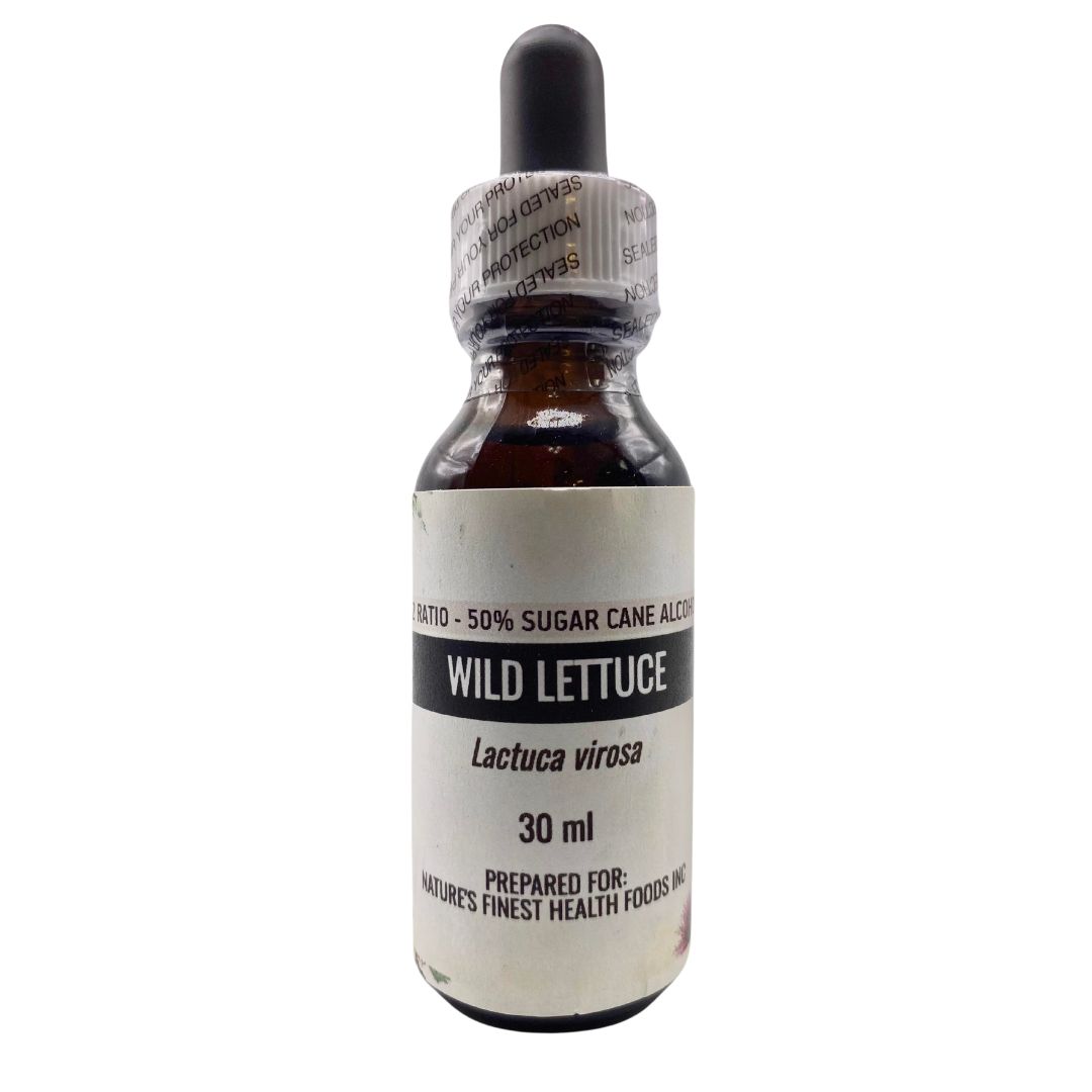 Wild Lettuce Tincture (1 oz)