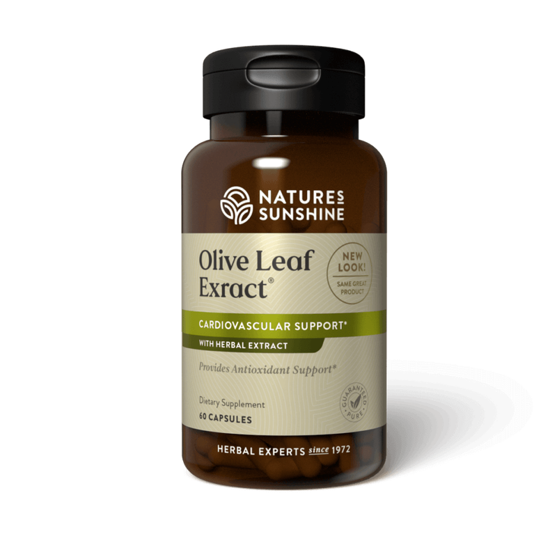 Olive Leaf Extract Concentrated (60 caps)