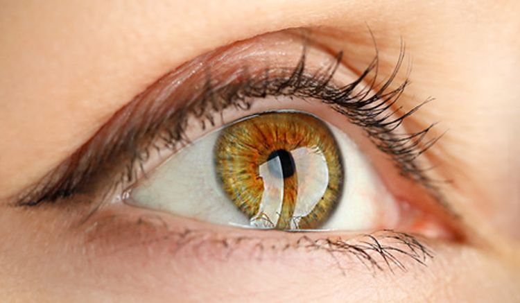 Iridology