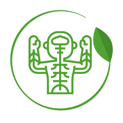 Body Systems