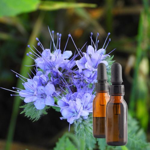 Blue Vervain Tincture