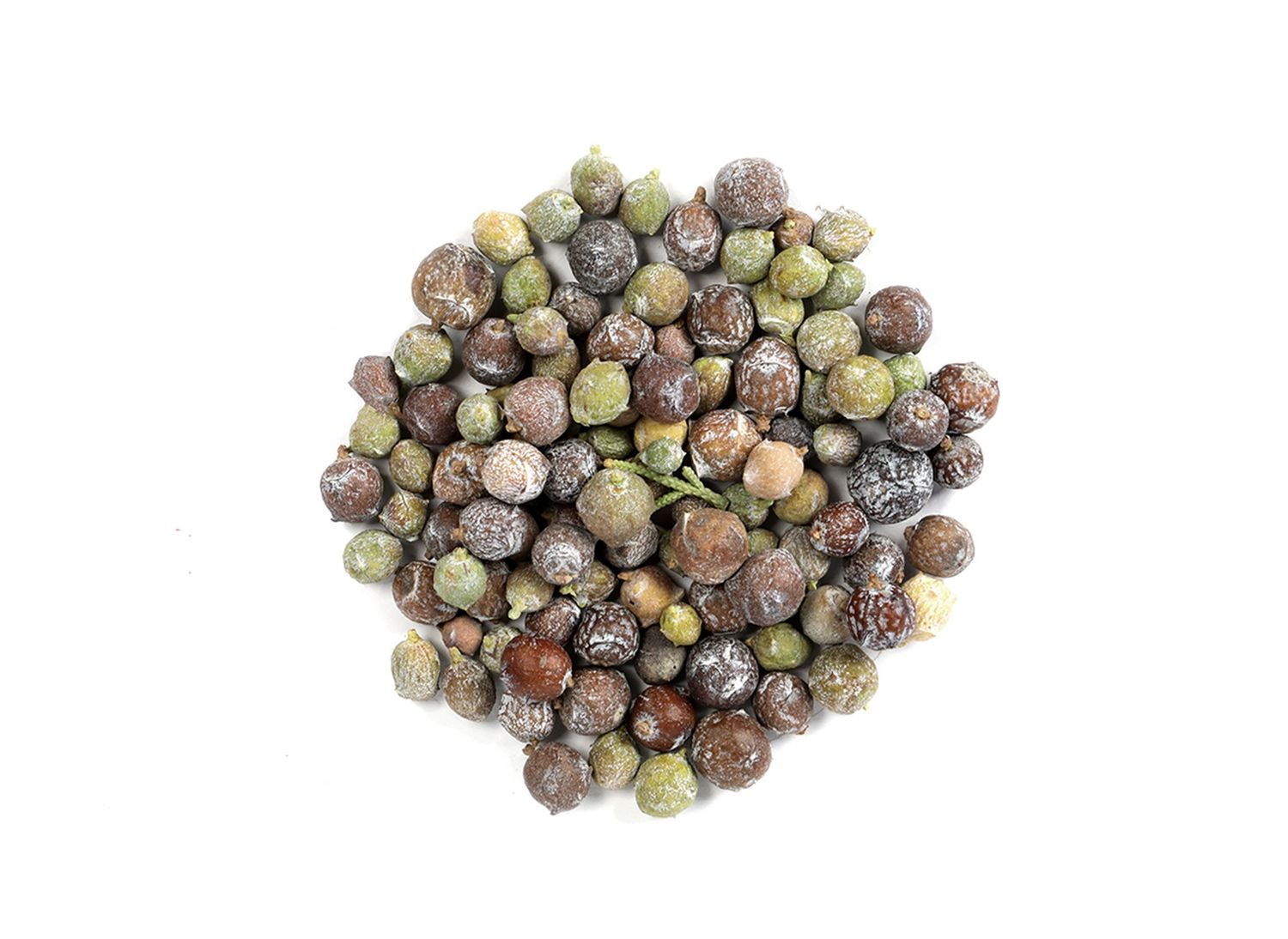 Cedar Berries Whole