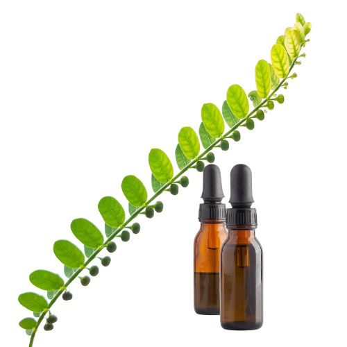 Chanca Piedra Tincture