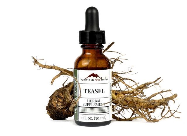 Teasel Extract