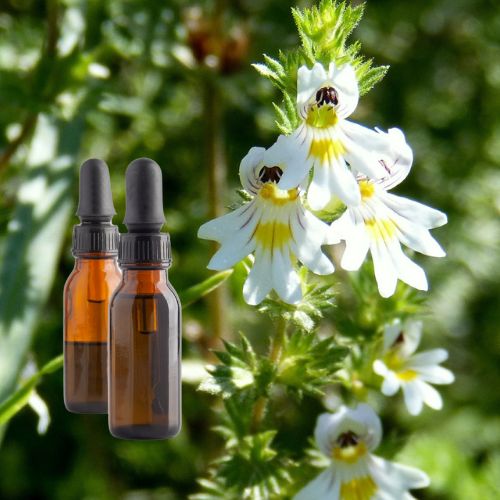 Eyebright Tincture