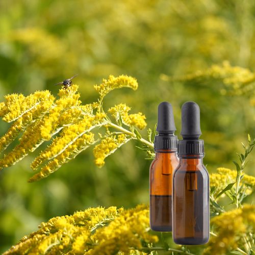 Golden Rod Tincture (30ML)