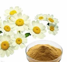 Feverfew Powder