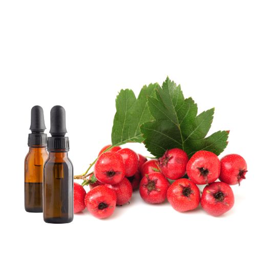 Hawthorn Leaf &amp; Flower Tincture