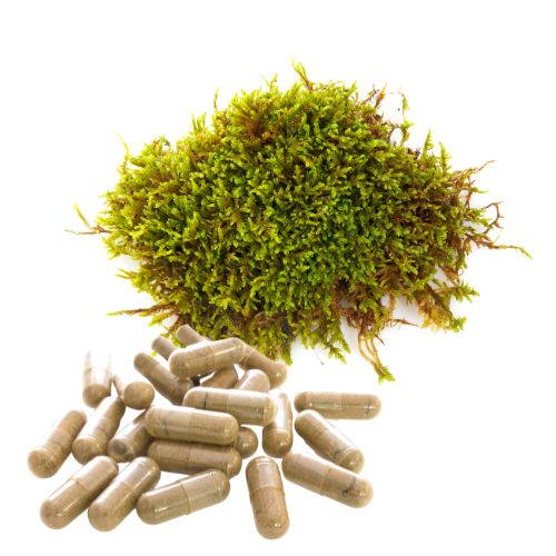Irish Moss Capsules (100 Count)